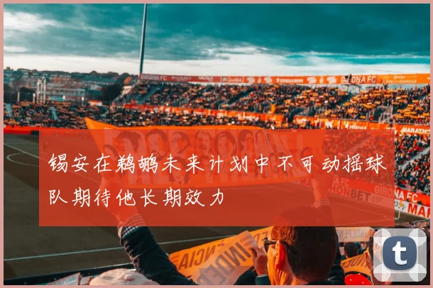 锡安在鹈鹕未来计划中不可动摇球队期待他长期效力