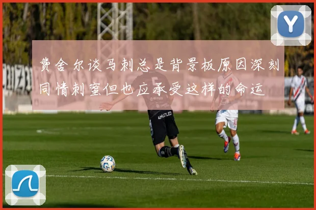 费舍尔谈马刺总是背景板原因深刻同情刺蜜但也应承受这样的命运
