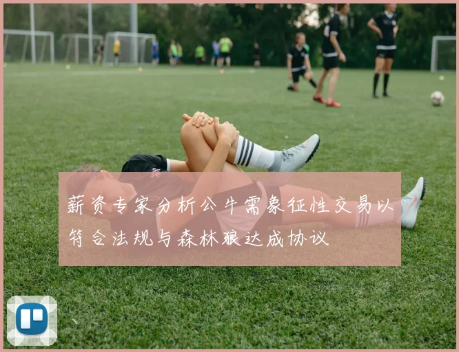 薪资专家分析公牛需象征性交易以符合法规与森林狼达成协议